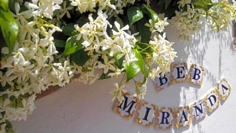 Da Miranda Bed & Breakfast