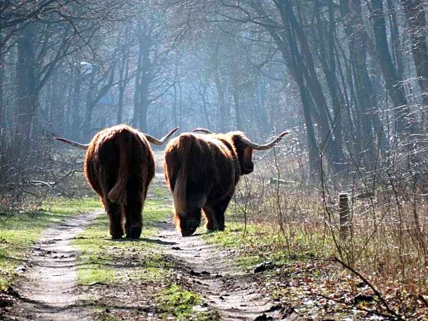 Slapen bij de Buurvrouw