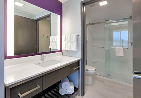 1 King Bed Studio Suite Nonsmoking