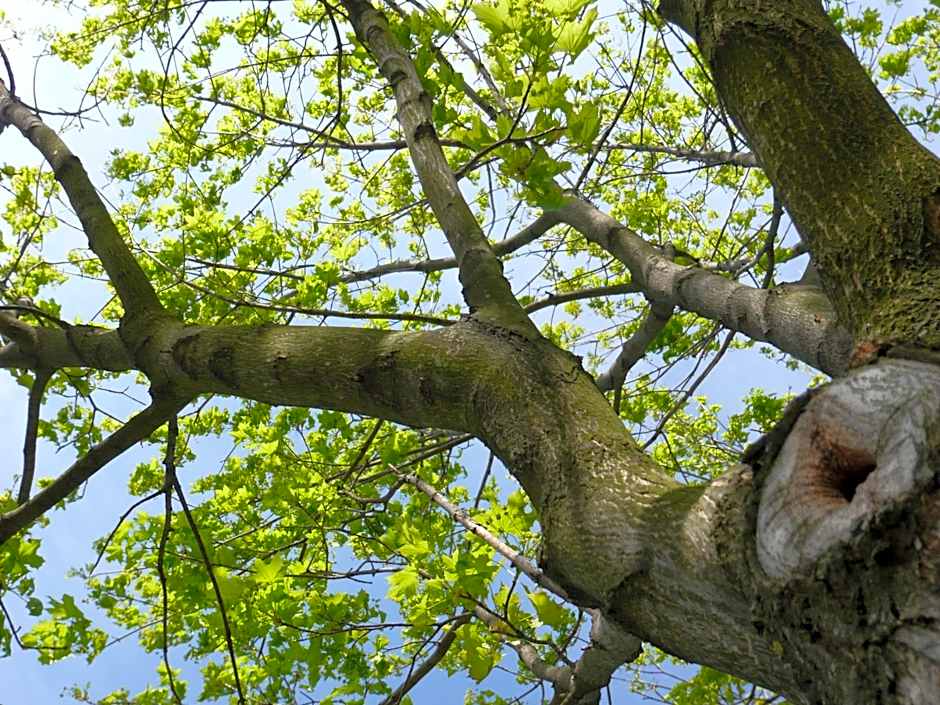 Good Rooms GmbH Guntramsdorf