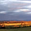 Round Hill Inn