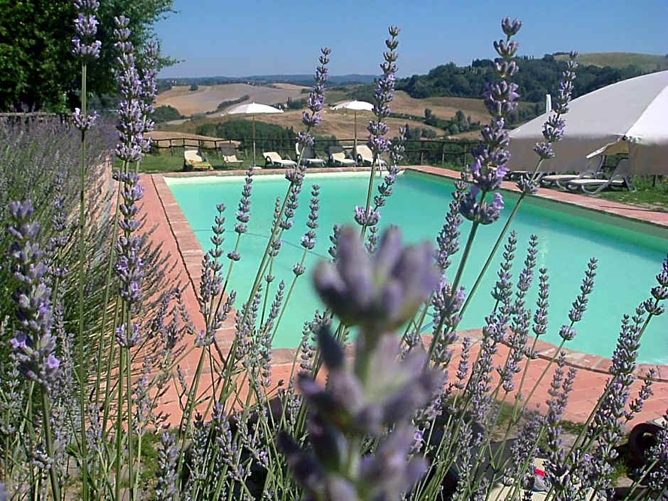 Antonella House -Podere della Collina