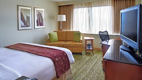 1 Bedroom Suite, 1 King, Sofa bed