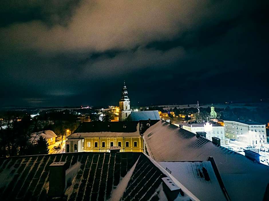 Zamek Międzylesie