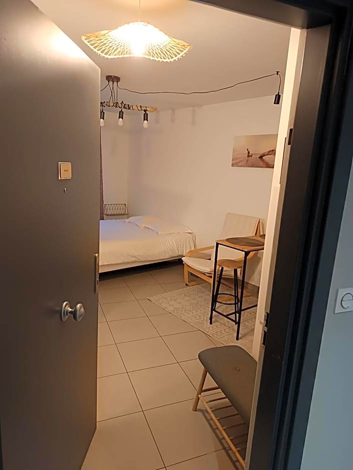 Villa'vi Lyon Est Chambres d'Hôtes