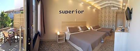 Superior Double or Twin Room with Terrace