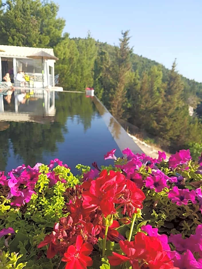 Serenity Boutique Suites