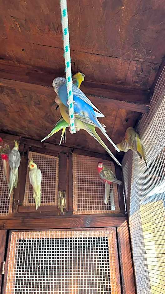 OŚRODEK U POLAKA nowoczesna stodoła