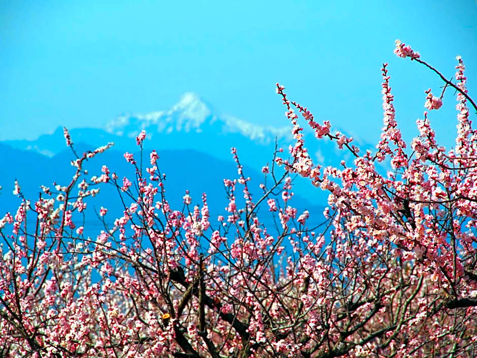ホテル晴山