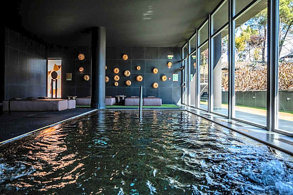 Evidencia Belverde Hotel