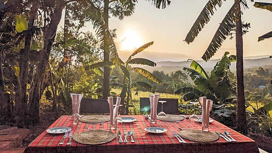 Foresight Eco Lodge & Safari