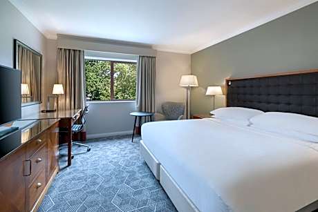 Superior Room, Guest room, 1 King