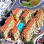 Playaolid Suites & Apartments