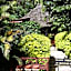 Ikweta Country Inn Maua