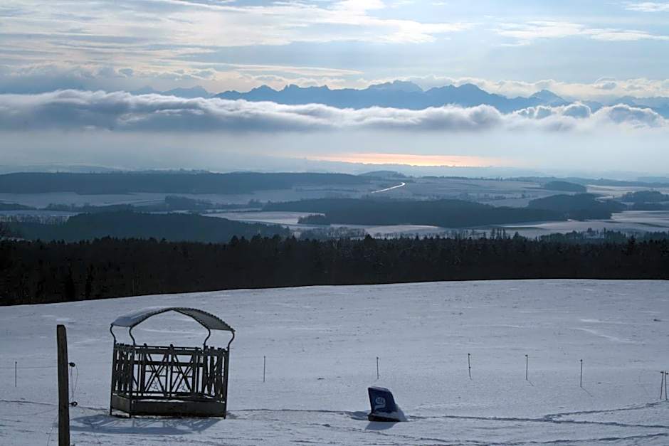 La Ferme de la Praz - Rooms with a View