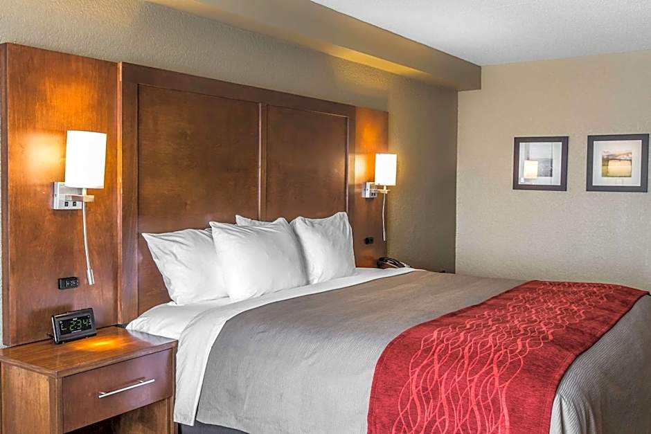 Photo 1 of 5 of 1 King Bed Suite