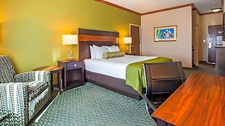 1 King Bed Nonsmoking Accessible