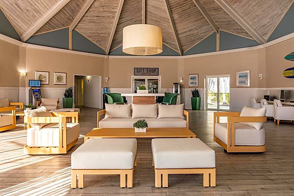 Palm Tree Club Miami