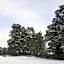 Ruapehu Mountain Motel & Lodge