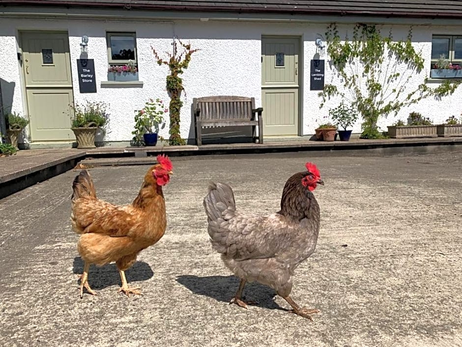 The Old Dairy at Walkmill Farm