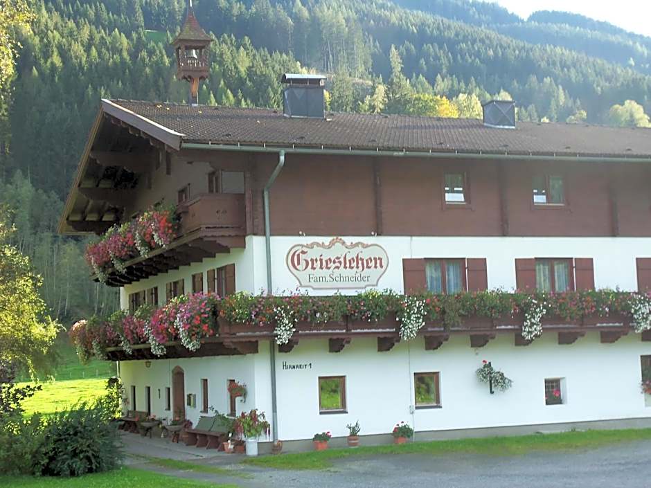 Bauernhof Grieslehen