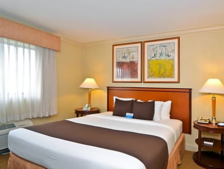 King Suite with Sofa Bed