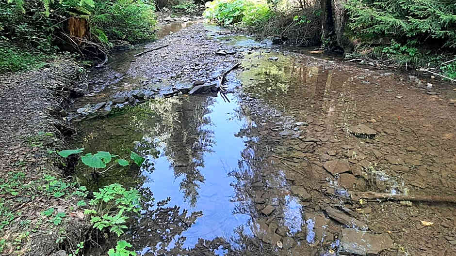 Chatka Nad Strumieniem