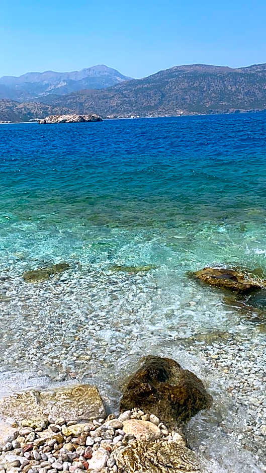 Dolphin Hotel Apartments