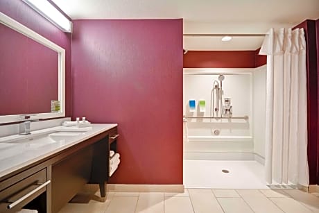 1King Accessible Roll In Shower Suite Nonsmok