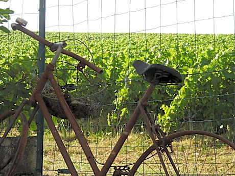 Au Coeur Des Vignes