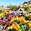 Country Inn & Suites by Radisson, Jackson, TN