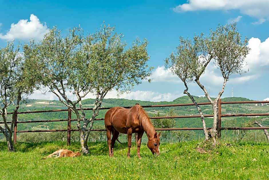 Sporting Hotel San Felice