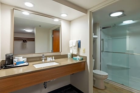 Deluxe Room, 1 King Bed with Sofa bed (1 King Bed and 1 Double Sofa Bed)