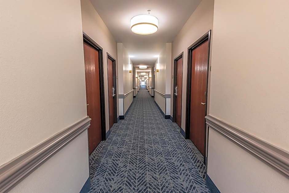 Comfort Inn & Suites New Iberia - Avery Island