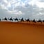 Desert Camel Trekking Camp