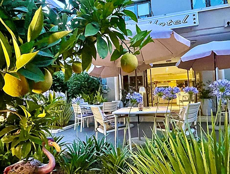 Hotel Alfieri by International