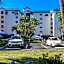 Beach Palms- Unit 102