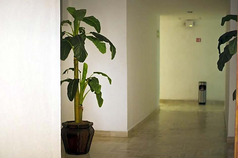 Hotel Don Miguel