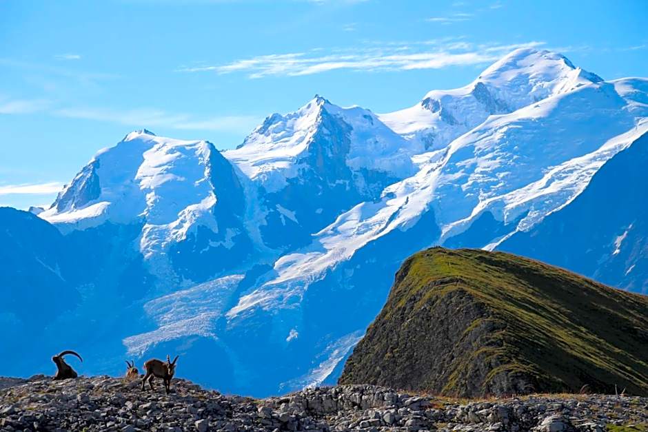 Flaine prime ski in, ski out Apartment