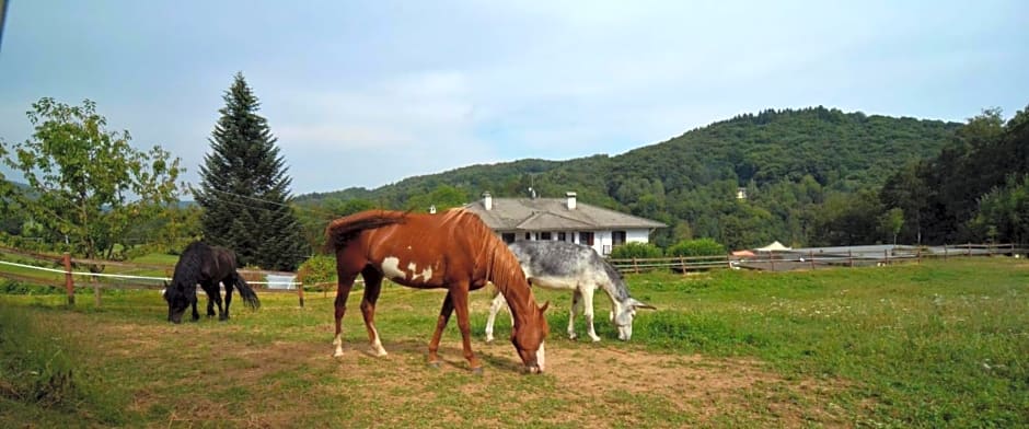 Favetto Family Ranch