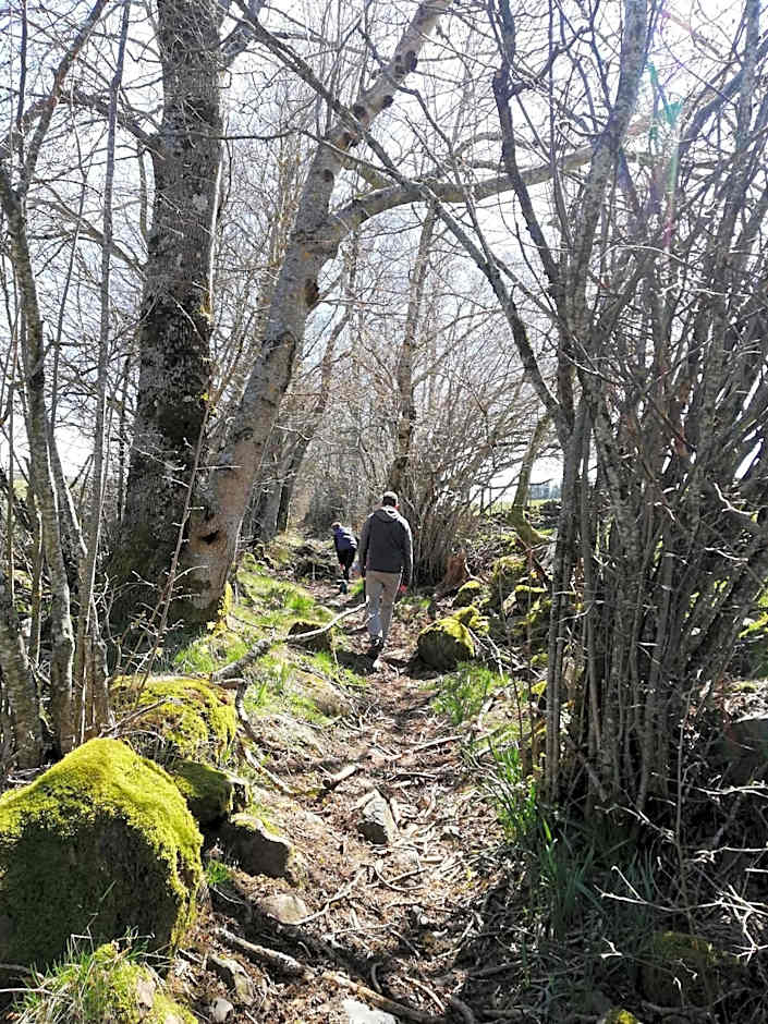 Best Western Le Relais de Laguiole Hotel & Spa