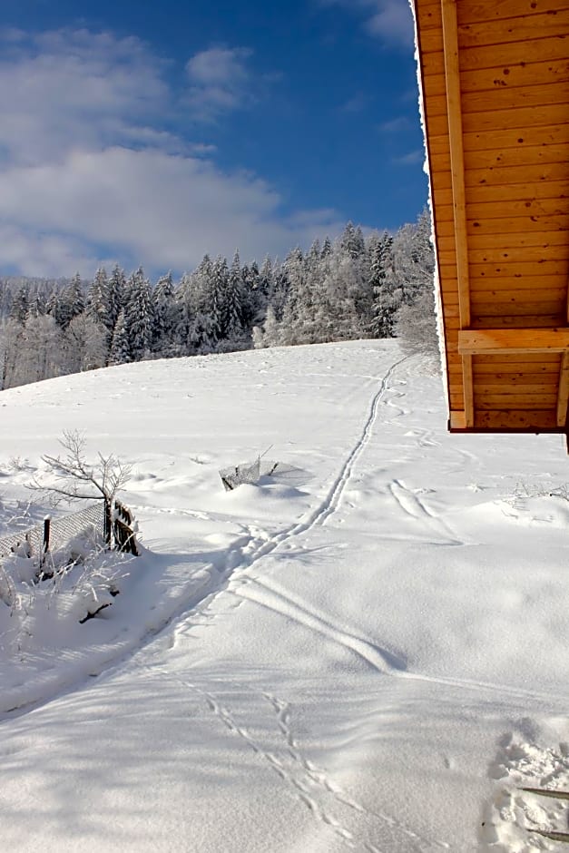 Hillton Jawornik – Wisla, IN