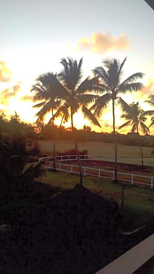 Eden Villa