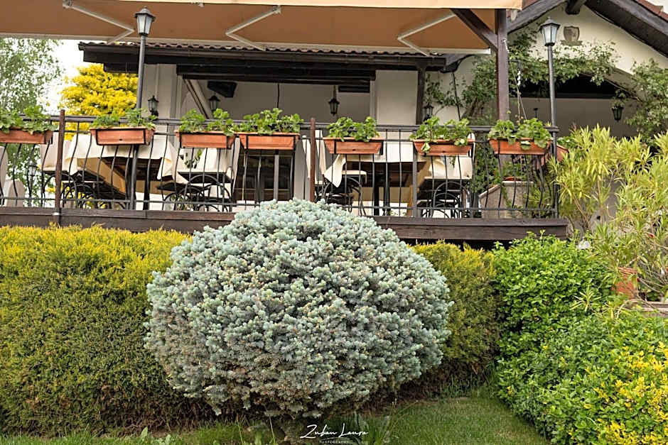 Casa Domneasca