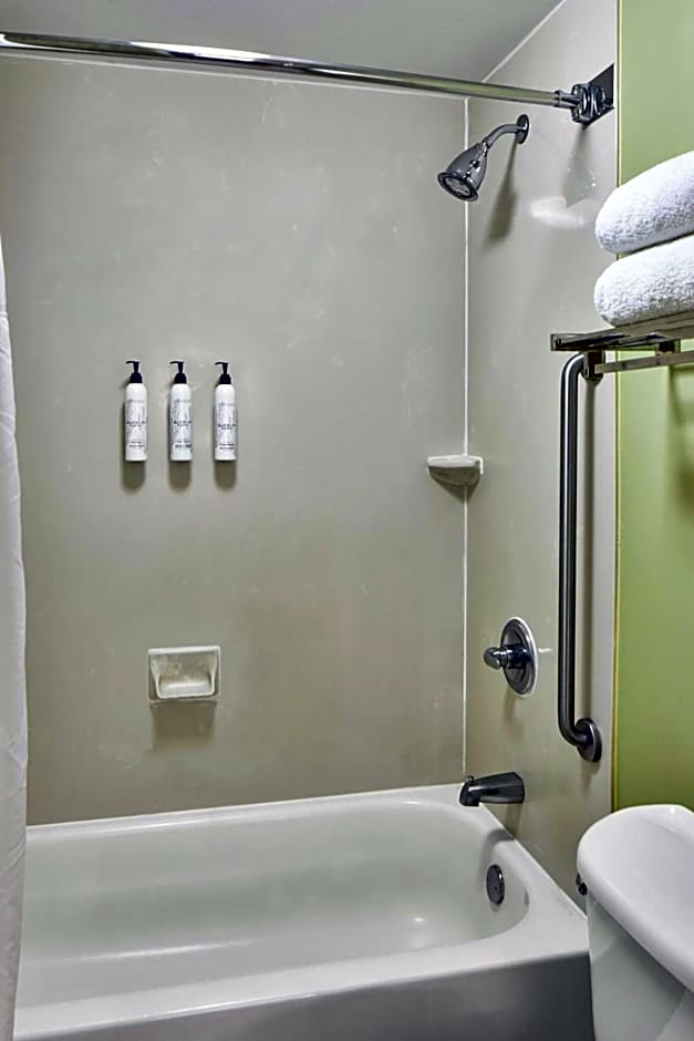 SpringHill Suites by Marriott Memphis Downtown