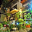 Gringo Bill's Boutique Hotel