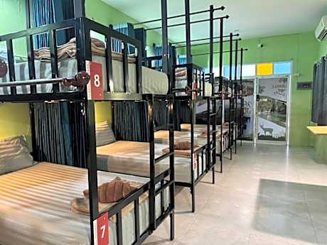 Khaosok jungle hostel Branch 1