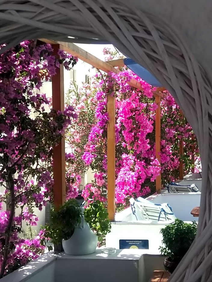 Doron Hotel Delfini