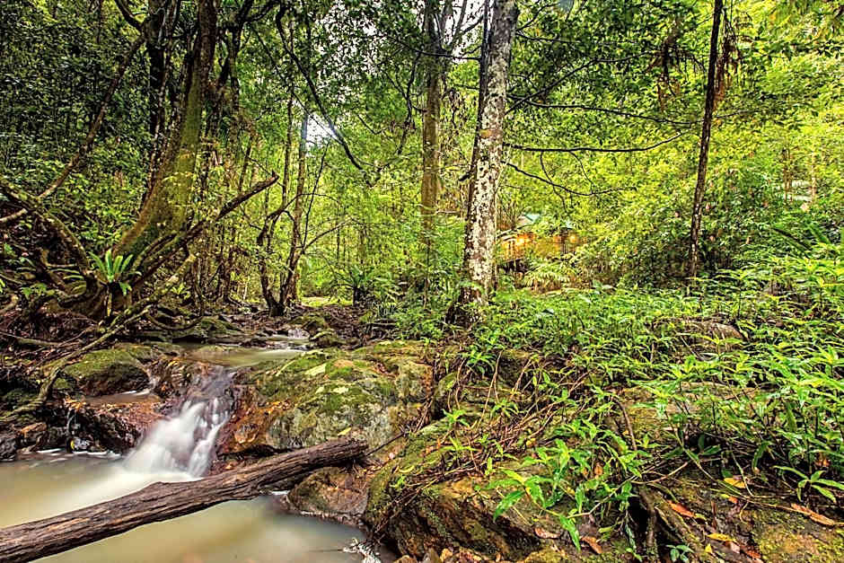 Narrows Escape Rainforest Retreat
