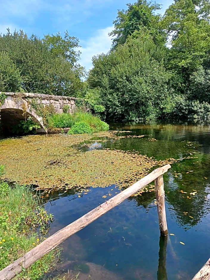 Leonchic - Guest House com Piscina de Água Salgada